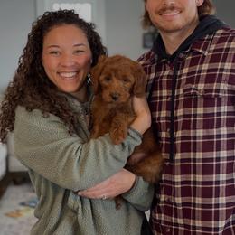 Bernedoodle and Goldendoodle Puppies from BrookeMarie’s Goldendoodle Love
