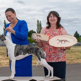Whippets from Luminary Whippets