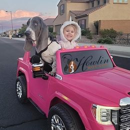 Viserys - Basset Hound