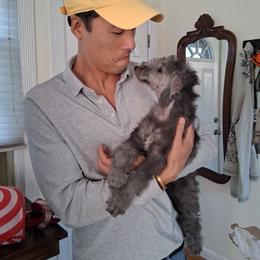 Bedlington Terrier Puppies from RYAS Bedlington Terriers Kennel