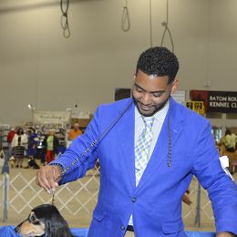 Dachshunds from Winfield Dachshunds