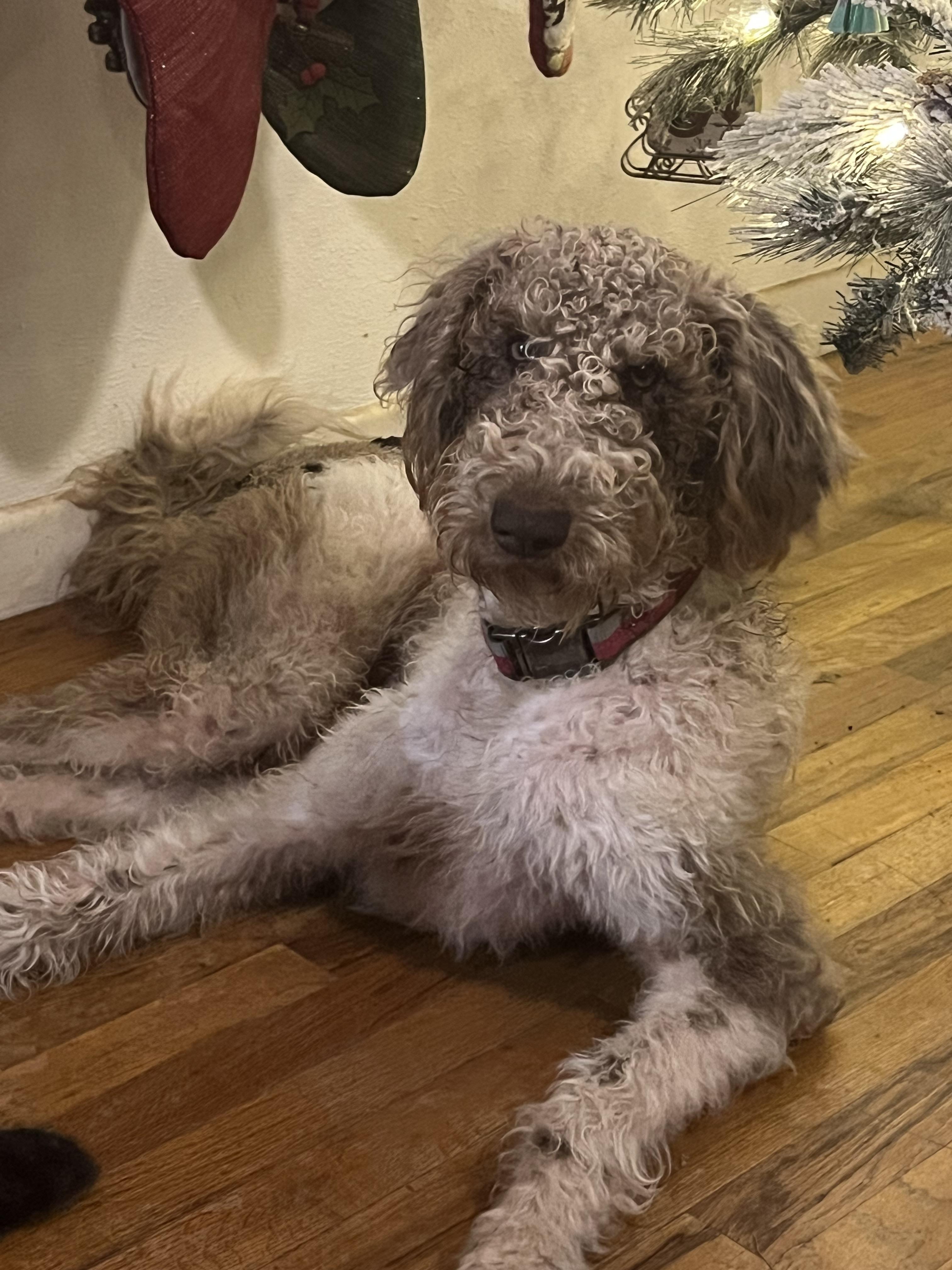Penny