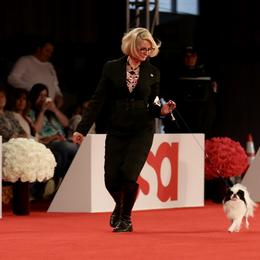 Japanese Chin All Grown Up from KaLor Japanese Chin