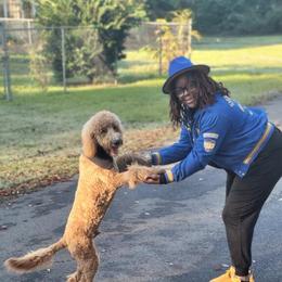 Goldendoodle All Grown Up from Anytime Doodles