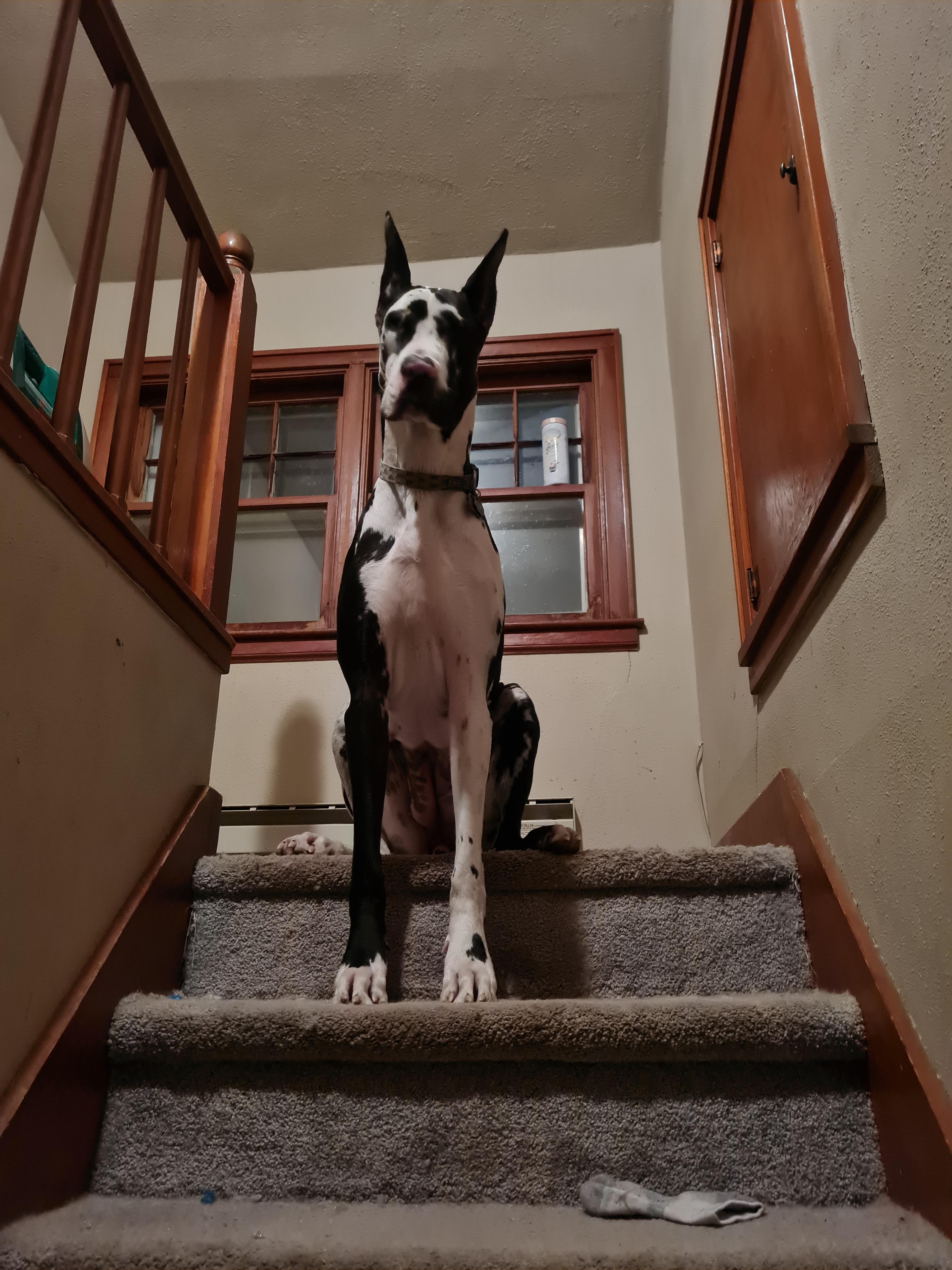 Oakley