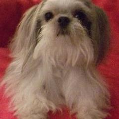 Mi-Ki All Grown Up from Jubilee Mi-Ki's