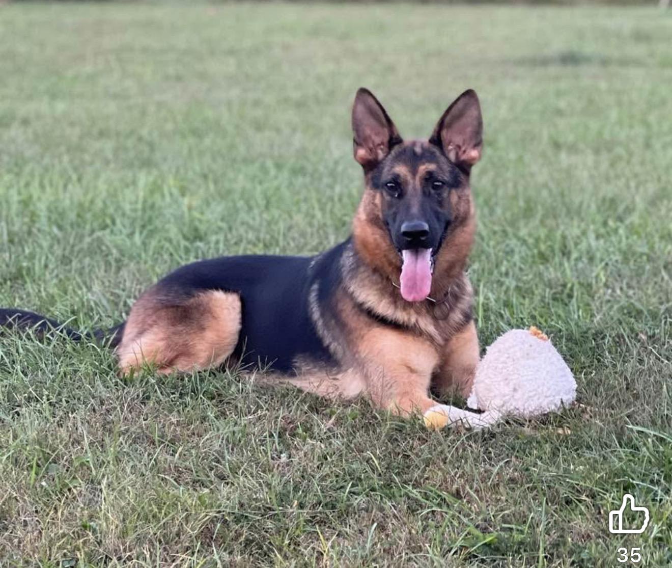Kona