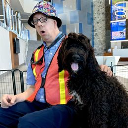 Australian Labradoodle Puppies from Maple Lane Australian Labradoodles