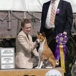Basenjis, German Wirehaired Pointers, and Pointers from Mountain View Kennel
