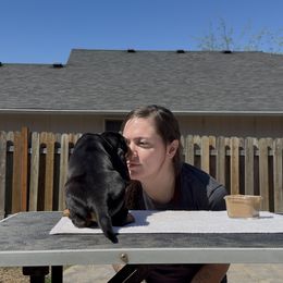 Black and Tan Coonhound Puppies from Toodaloo Coonhounds