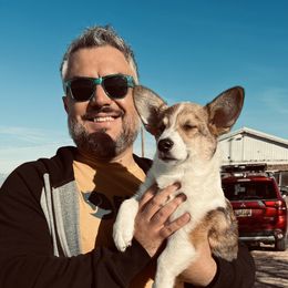 Achilles - Pembroke Welsh Corgi puppy in Veguita, New Mexico from 4J High Desert Corgis