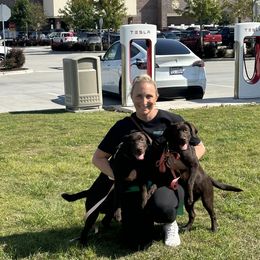 Labrador Retriever Puppies from Rose Gold Retrievers
