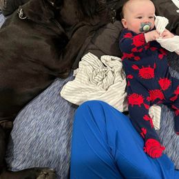 Cane Corso Puppies from Venom Cane Corsos