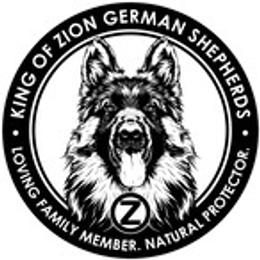 Boy 1 - Black and red male German Shepherd puppy in Alvarado, Texas from King Of Zion German Shepherds