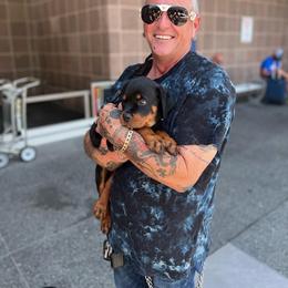 "D litter pup with new family" Rottweiler Puppies from VHWilliamsRottweilers