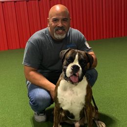 Boxers from Alfabox Boxers