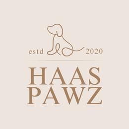 Aussiedoodle puppies from Haaspawz