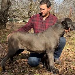 Barbara - Cane Corso