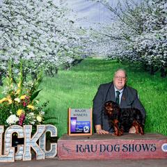 Happy - English Toy Spaniel