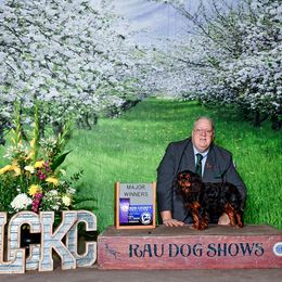 Happy - English Toy Spaniel