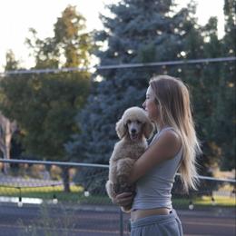 Ketchup - Apricot male Poodle puppy in Orem, Utah from First Class Poodles