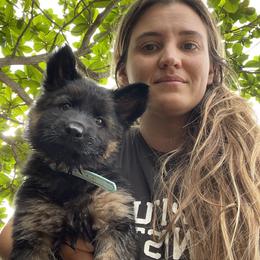 German Shepherd Puppies from Oahu German Shepherds