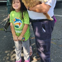 "Virginia Beach, Va" Australian Shepherd Puppies from Holly Ridge Aussies