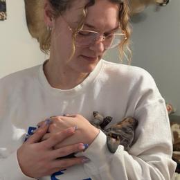 Dasher AKC - Blue and tan male Dachshund puppy in Erie, Michigan from Champagne’s Grinch Toe’d Dachshunds