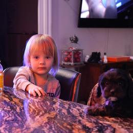 Bernedoodle and Cavapoo Puppies from Lawler’s Legacy Litters