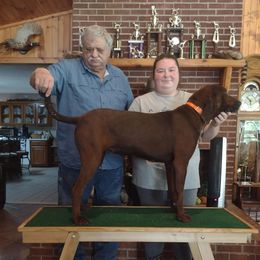 Star - Redbone Coonhound