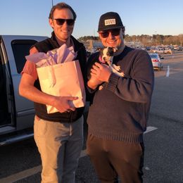 Boston Terrier Puppies from Bonze Boston Terriers