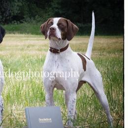 Fannie - Pointer