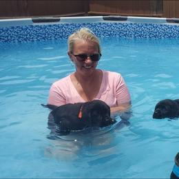 Labrador Retriever Puppies from Labs4Ever Labradors