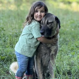 Kangals from Berecz Hollow Farm LLC