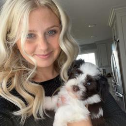 Havanese Puppies from Windy Hill Havanese
