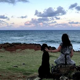 Goldendoodles and Poodles from Kauai Poodles