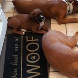 Boxers from RCT Boxers