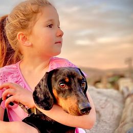 Dachshunds from Ranchy Doxies