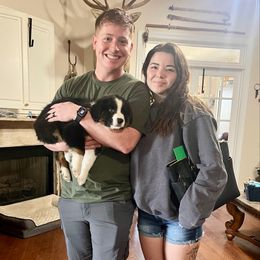 James - Black tri-color male Australian Shepherd puppy in Red Springs, North Carolina from Julia Rose Ranch