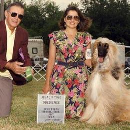 Afghan Hound and Havanese All Grown Up from Dragonfly Kennels