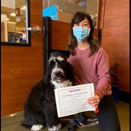 Aussiedoodle and Poodle Puppies from Arena Valley Acres LLC