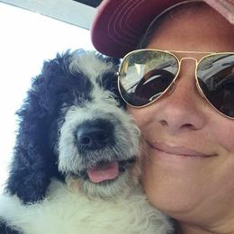Assorted Doodle Crosses, Bernedoodle, Goldendoodle, and Poodle Puppies from Williams Lake Doodles
