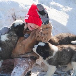 Saint Bernard Puppies from Atkinson Saint Bernards