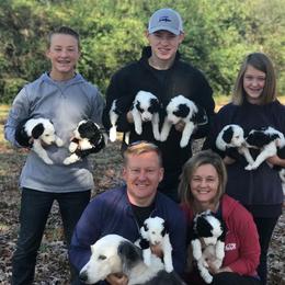 Sheepadoodle Puppies from Narrow Path Puppies