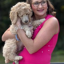 Poodle Puppies from Royal Dixie Poodles
