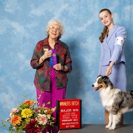 Australian Shepherds and Miniature Australian Shepherds from Tango Auusies & Minature American Shepherds