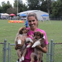 English Shepherd Puppies from Kefi Collie Co