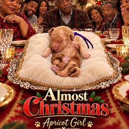 Almost Christmas - Sable female Goldendoodle puppy in Houston, Texas from Were The Mack'Doodles Mack’Poodles