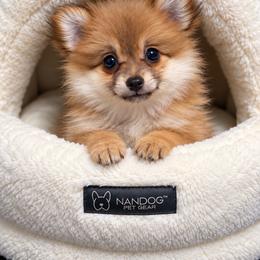 Boy 3 - Orange parti male Pomeranian puppy in Mc Henry, Illinois from Pomeranians