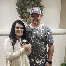 Shih Tzu Puppies from Willow Lane Shih Tzus